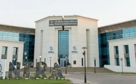 تنظيم الاتصالات يبدأ خطوات حاسمة لفصل الهواتف المزعجة الخاصة بالمكالمات الترويجية