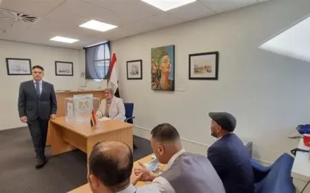 المصريون ينطلقون في جولة الإعادة لتصويت مجلس الشيوخ في نيوزيلندا