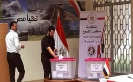 المصريون في الأردن يشرعون في التصويت لجولة الإعادة من انتخابات الشيوخ 2025