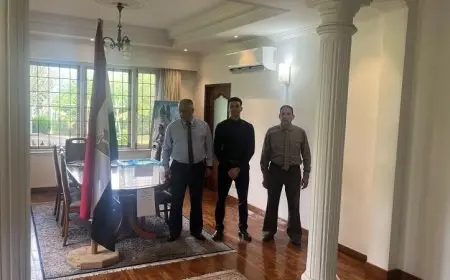 الوطنية للانتخابات تراقب تصويت المصريين في الدول العربية والآسيوية بأسلوب شامل ومتميز