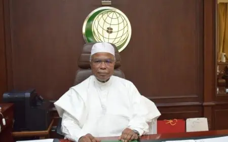 أمين التعاون الإسلامي يبرز أهمية مؤتمر إعادة الإعمار ودعوة لوقف الحرب