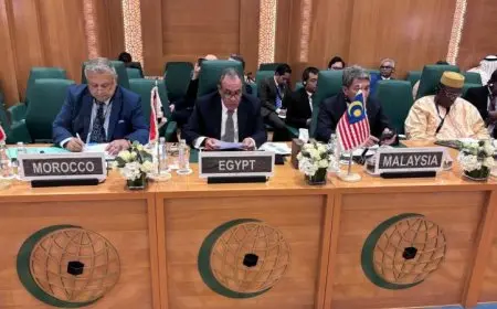 وزير الخارجية يحمل إسرائيل المسؤولية الكاملة عن تصاعد الأوضاع في غزة