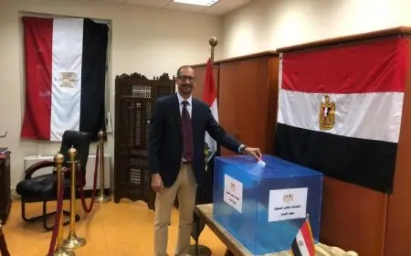 استمرار تصويت المصريين في الدول الإفريقية والأوروبية والعربية中