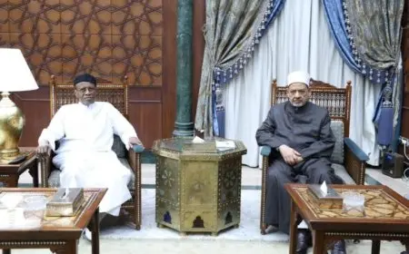 الطيب يناقش تعزيز الدعم الأزهرى للشعب التشادي مع رئيس جامعة الملك فيصل بتشاد