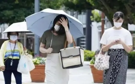 زيادة حالات الإصابة نتيجة موجات الحر في كوريا الجنوبية إلى 4000 حالة