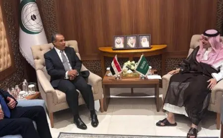 وزير الخارجية ونظيره السعودي يعززان العلاقات السعودية المصرية بزخم متزايد