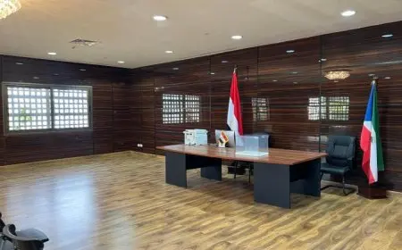 11 لجنة انتخابية في إفريقيا تستقبل الناخبين المصريين بأجواء حماسية