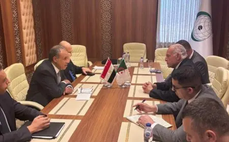 مباحثات مصر والجزائر في جدة تعزز العلاقات الثنائية وتناقش المستجدات الإقليمية