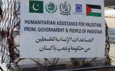 وصول شحنة مساعدات إنسانية من باكستان إلى مطار العريش الدولي لدعم الفلسطينيين