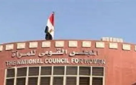 القومي للمرأة يطلق مجددًا أنشطة برنامج الإرشاد الأسري والتنشئة المتوازنة