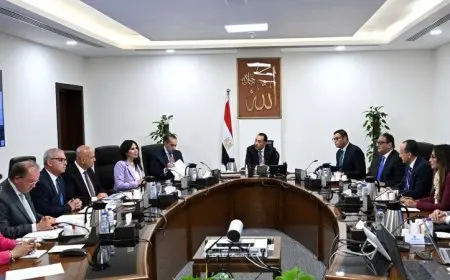 مدبولي يكشف عن استراتيجيات تنفيذ مشروعات الكهرباء في المدن الجديدة بالتعاون مع القطاع الخاص