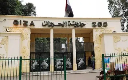 تحالف حديقة الحيوان وحديقة الأورمان يستعين بخبراء رعاية بيطرية متميزين للتطوير