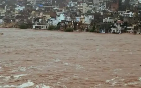 مصرع 30 شخصا في انهيار أرضي مميت إثر الأمطار الغزيرة في ولاية جامو وكشمير الهندية