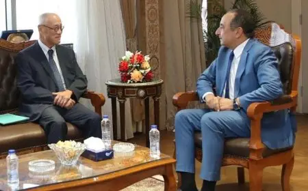 وزير قطاع الأعمال العام يستعرض مع سفير اليابان آفاق تعزيز التعاون المشترك