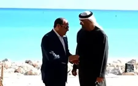 المتحدث الرئاسي يشارك فيديو حصري للقاء الرئيس السيسي مع رئيس دولة الإمارات