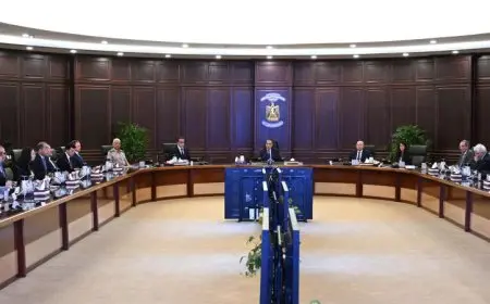 الوزراء يوافقون على تعديل قانون المرور لتحسين السلامة المرورية