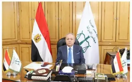 مجلس الدولة يوافق على التعديلات الجديدة في الحركة القضائية لعام 2024