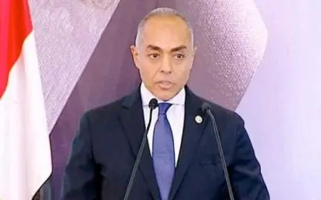 الهيئة الوطنية للانتخابات تؤكد نجاح الدولة في تنفيذ استحقاقات انتخابات الشيوخ