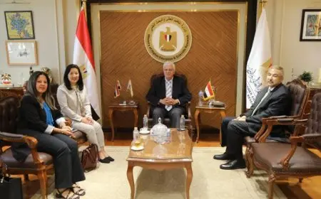 عاشور يستعرض آليات تعزيز التعاون مع برنامج الأمم المتحدة الإنمائي في مصر
