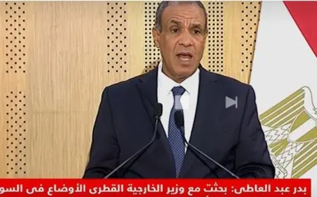 وزير الخارجية يعلن عن إنشاء آلية جديدة للتشاور السياسي بين مصر وقطر