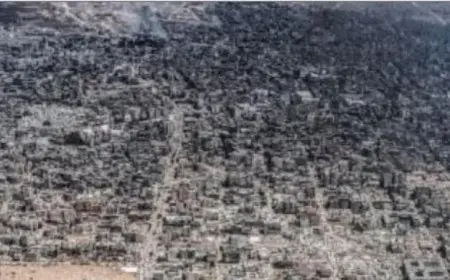 المنظمات الأهلية الفلسطينية تشيد بمصر لدورها في وقف العدوان الإسرائيلي