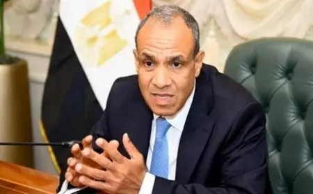 عبد العاطي يؤكد جهود مصر المكثفة للتوصل إلى وقف إطلاق النار في غزة