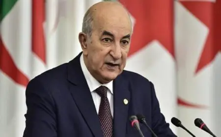الرئيس الجزائري يعين سيفي غريب في منصب رئيس الوزراء ويقيل العرباوي من الحكومة