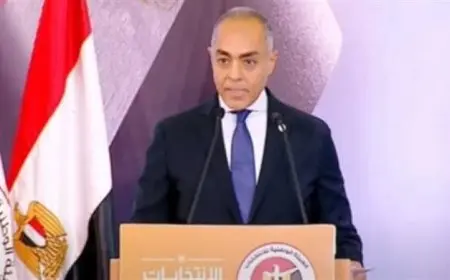 بدء فرز أصوات الناخبين في جولة الإعادة لانتخابات الشيوخ وفقاً لبنداري