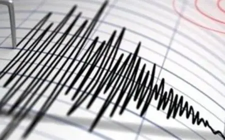 زلزال قوي بقوة 5.3 درجات يضرب الأراضي الأمريكية ويثير القلق