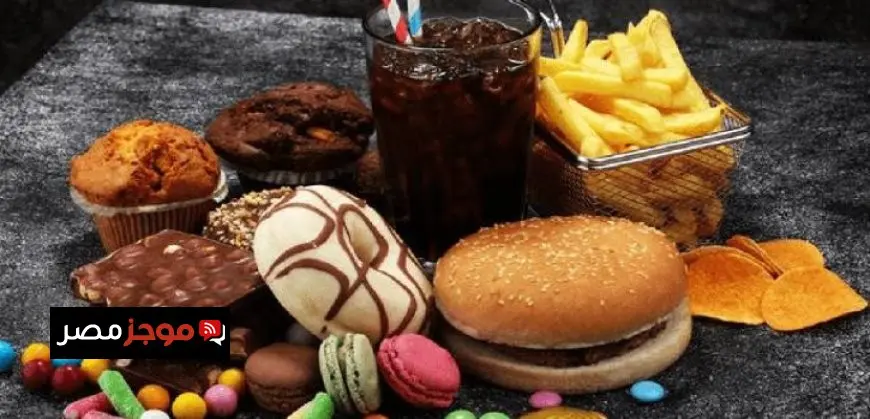 وزير قطاع الأعمال ومحافظ الإسكندرية يوقعان بروتوكولًا لتوريد 120 حافلة غاز طبيعى من إنتاج “النصر للسيارات”