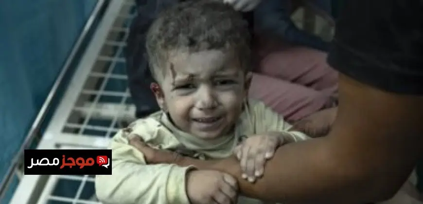 13 طفلاً جريحًا ومريضًا من غزة يصلون المستشفيات الإسبانية للعلاج