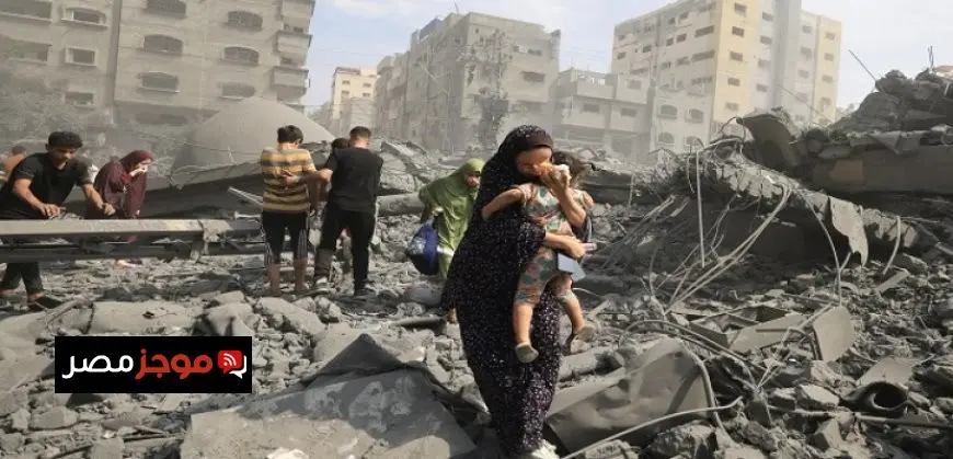 مسئولة فلسطينية: قطاع غزة يتعرض لإبادة بيئية جراء الحرب