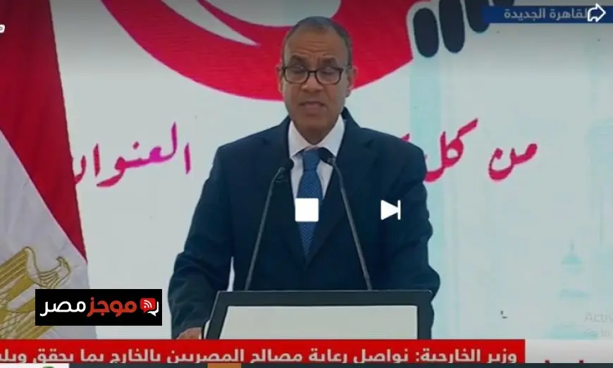 وزير الخارجية يؤكد مواصلة دعم مصالح المصريين في الخارج لتلبية تطلعاتهم
