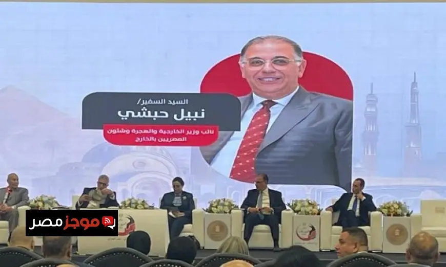 نجاح نبيل حبشي في تنفيذ توصيات مؤتمر المصريين بالخارج النسخة الخامسة