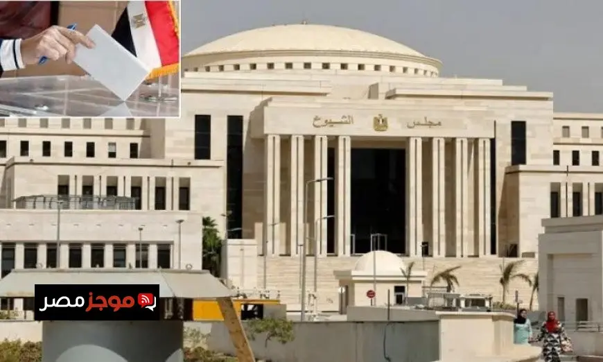 قيادات الجبهة الوطنية تراقب التحضيرات التنظيمية لانتخابات مجلس الشيوخ