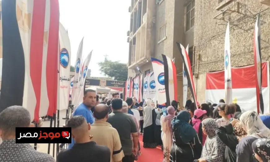 تدفق حشود المواطنين للتصويت في انتخابات الشيوخ بمنطقتي الشروق والمعادي