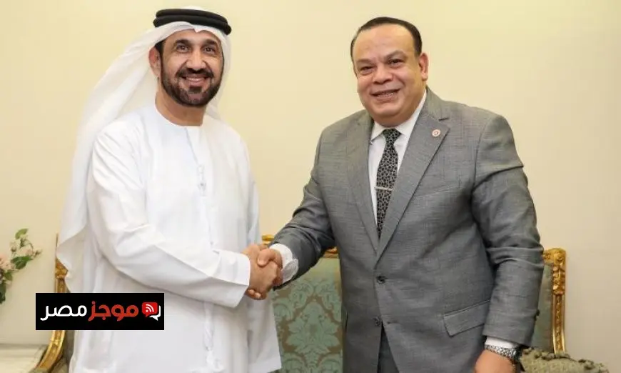 التجربة الانتخابية في مصر تبرز كركيزة أساسية لتعزيز الديمقراطية وفقاً لاليماحي