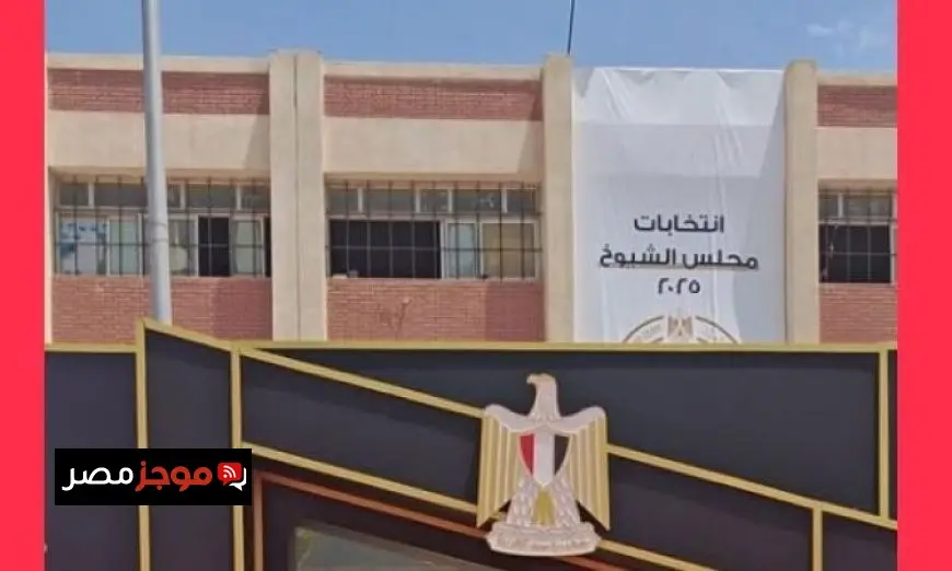 زيادة الإقبال على التصويت في لجان القاهرة الجديدة خلال اليوم الثاني من انتخابات مجلس الشيوخ