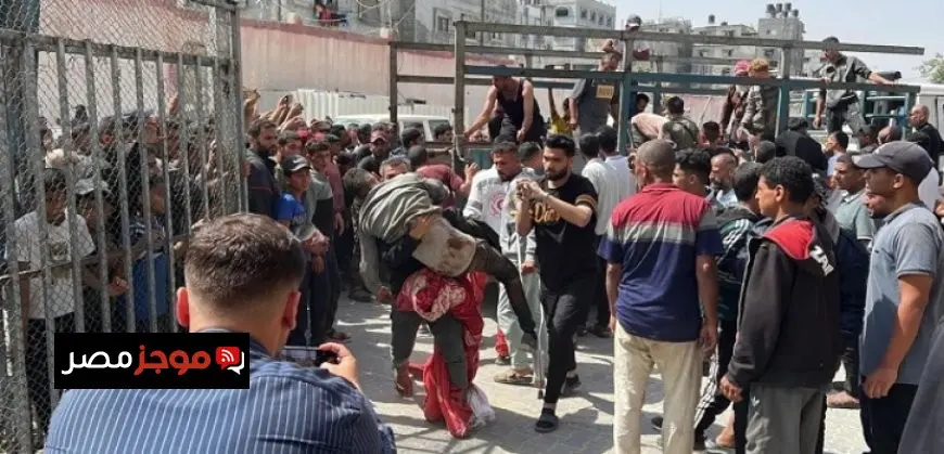 الأمم المتحدة: استمرار القوات الإسرائيلية فى قتل الباحثين عن الطعام فى غزة