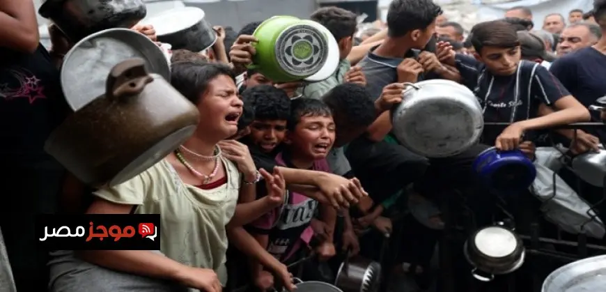 استشهاد 8 فلسطينيين نتيجة المجاعة وسوء التغذية خلال الـ24 ساعة الماضية