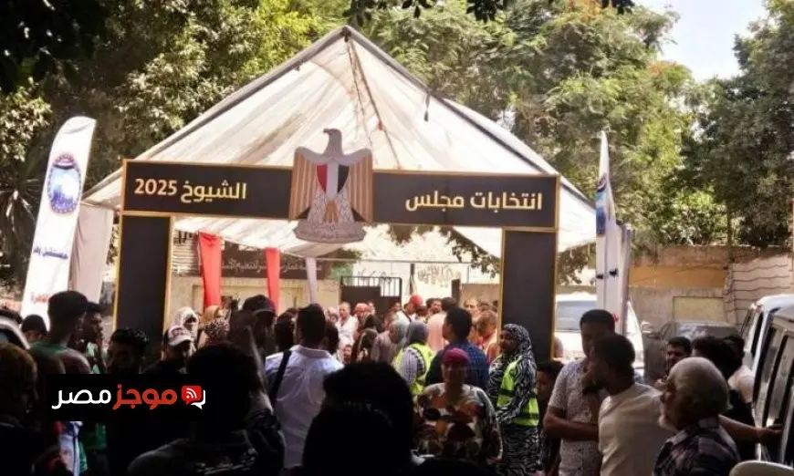 زيادة كبيرة في نسب إقبال الناخبين على لجان انتخابات مجلس الشيوخ