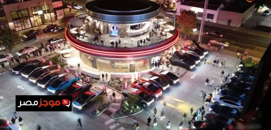 إيلون ماسك وتيسلا فى مرمى القضاء بسبب وعود “روبوتاكسى”