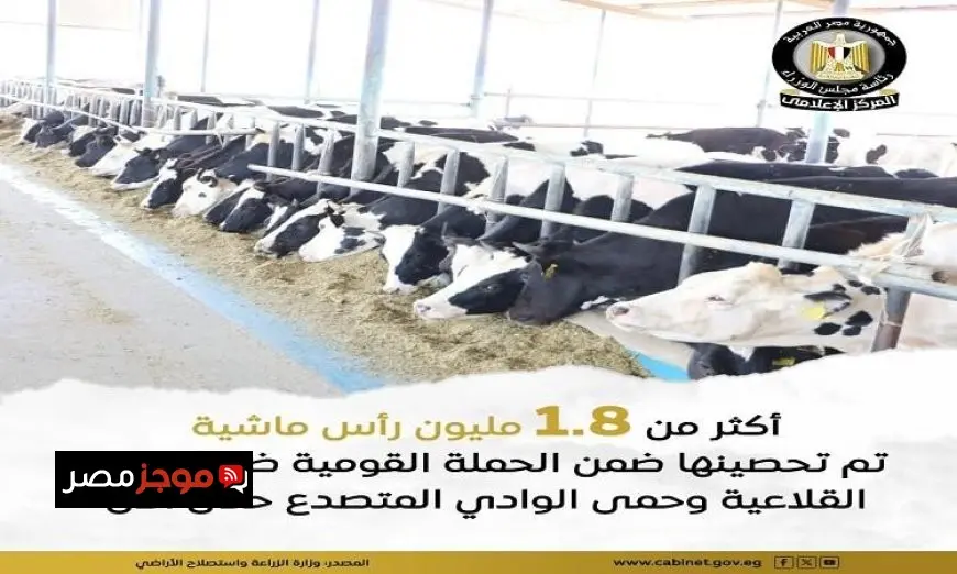 الزراعة تواصل جهودها في الحملة الوطنية للتحصين ضد الحمى القلاعية الوادي المتصدع