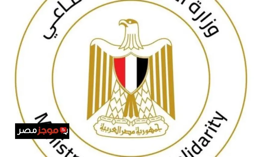 التضامن تكشف عن جهودها في تنفيذ الحصر الوطني الشامل للحضانات في مصر
