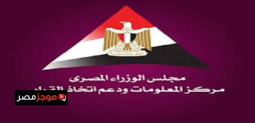 “معلومات الوزراء” يستعرض أهم فرص توطين صناعة ألواح الطاقة الشمسية بمصر ومقومات النجاح