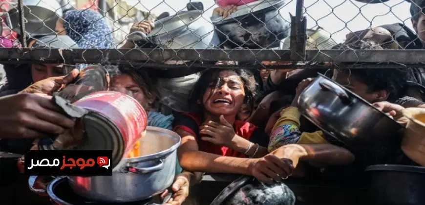 الصحة العالمية: غزة تشهد أعلى معدل شهرى لحالات سوء التغذية الحاد