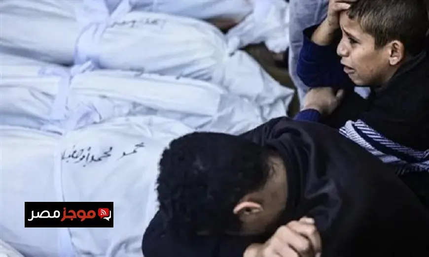 استشهاد خمسة فلسطينيين برصاص الاحتلال الإسرائيلي في جنوب قطاع غزة