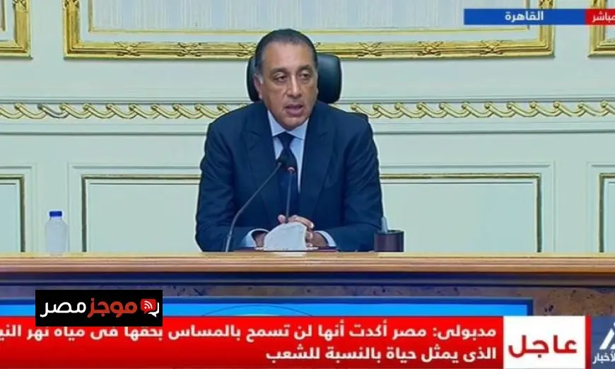 مدبولي يؤكد أن الرئيس السيسي شدد على حق مصر في مياه النيل
