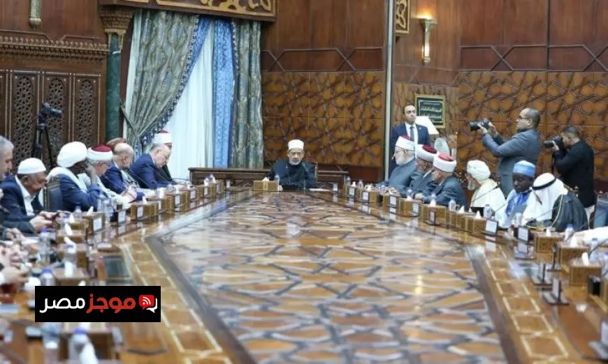 شيخ الأزهر يطالب الدول الإسلامية بوضع خطة تعليمية لتعزيز وعي الشعوب