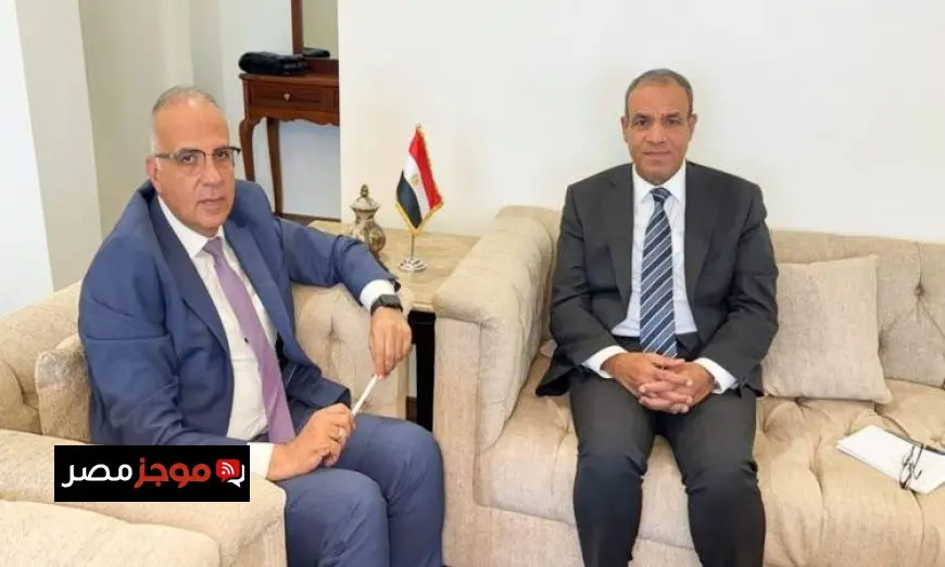 وزير الخارجية ووزير الري يعززان التعاون مع دول حوض النيل عبر آليات متعددة